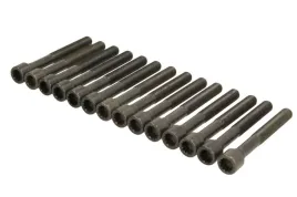 zestaw-srub-glowicy-cylindrow-aju81030000