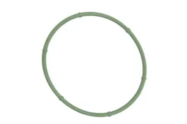 uszczelka-kolektora-dolotowego-aju01258200