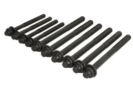 zestaw-srub-glowicy-cylindrow-aju81071100