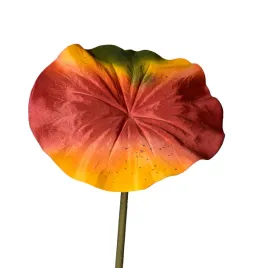 lotos-brazowy-lisc-satynowy-84cm-12-sztuk