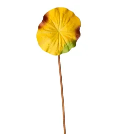 lotos-zolty-lisc-satynowy-84cm-12-sztuk