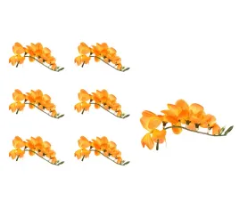 frezja-glowka-kwiatowa-pomaranczowozolta-6-sztuk