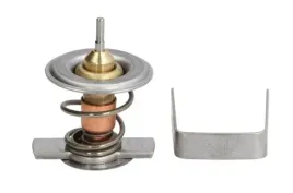 termostat-srodka-chlodzacego-d2x009tt-d2x009tt