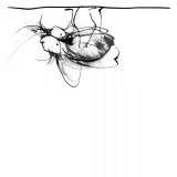 bajki-dla-idy-stan-nowy