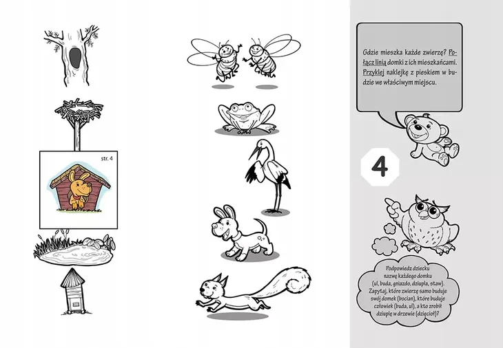 akademia-4-lata-bohater-brak