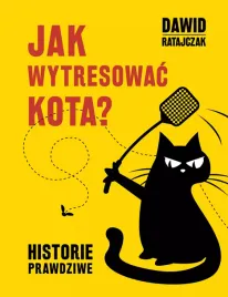 jak-wytresowac-kota-historie-prawdziwe