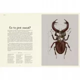 insektarium-muzeum-owadow-stan-nowy