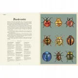 insektarium-muzeum-owadow-bohater-brak