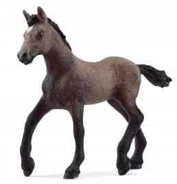 horse-club-slh13954-zrebie-rasy-paso-peruwianski