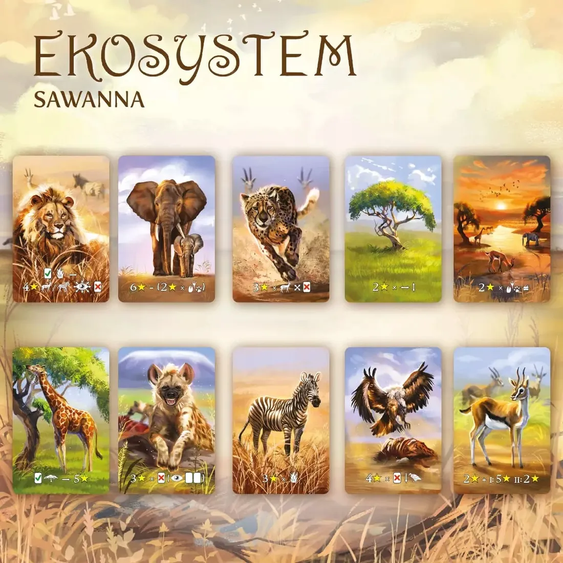 ekosystem-3-sawanna-stan-nowy