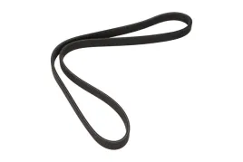dayco-pasek-wielorowkowy-6dpk1195