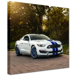obrazy-20x20-ford-mustang-samochod-usa