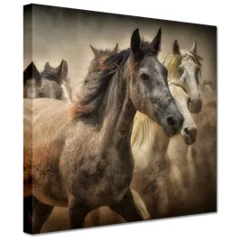 obrazy-20x20-dzikie-konie-koniki-galop