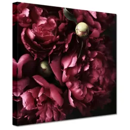 obrazy-20x20-piekne-fioletowe-piwonie