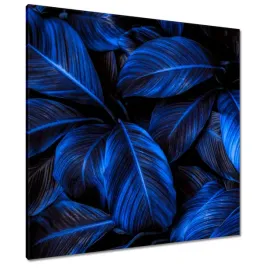 obrazy-80x80-niebieskie-liscie
