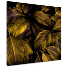 obrazy-70x70-piekne-miodowe-liscie