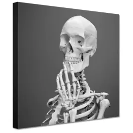 obrazy-20x20-kosciotrup-szkielet-kosci