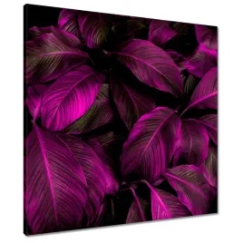 obrazy-60x60-piekne-fuksjowe-liscie