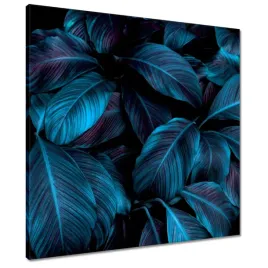 obrazy-60x60-piekne-niebieskie-liscie