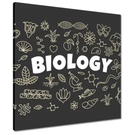obrazy-50x50-motyw-do-klasay-biologicznej