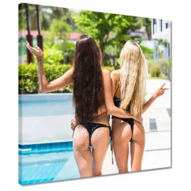 obrazy-40x40-brunetki-blondynki-ja-wszystkie-was-dziewczynki