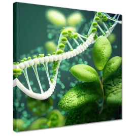 obrazy-30x30-motyw-do-klasy-szkoly-biologia