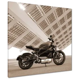 obrazy-90x90-harley-davidson-motocykl