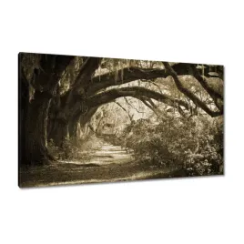 obrazy-120x70-deby-w-parku-sepia
