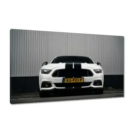 obrazy-120x70-ford-mustang-z-paskami