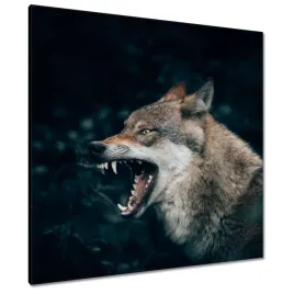 obrazy-90x90-wilk-wilki-wolf