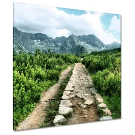 obrazy-90x90-kamienista-droga-tatry