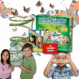 hodowla-motyli-domowa-farma-zestaw-do-hodowli-prezent-na-dzien-dziecka