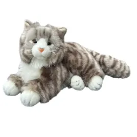 nd01-262129-kot-norweski-lezacy-30cm-33321