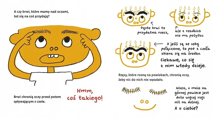 moje-cialo-wlosy-rodzaj-zbior-zadan-testow