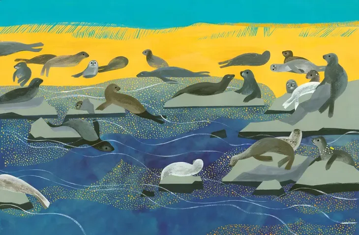 olaf-i-stella-stan-opakowania-oryginalne