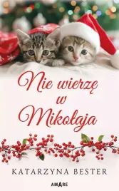 nie-wierze-w-mikolaja