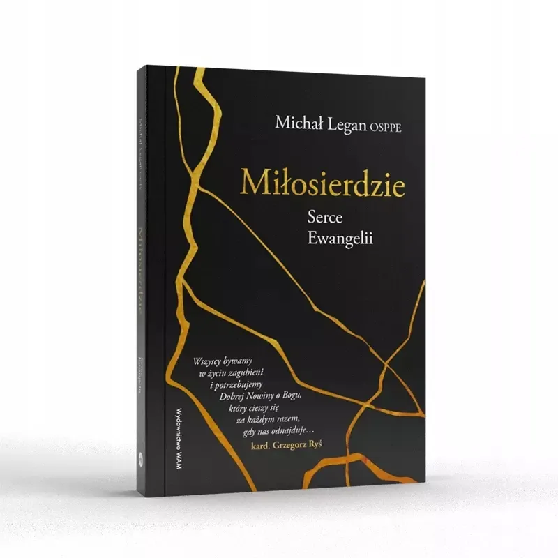 milosierdzie-serce-ewangelii-stan-nowy