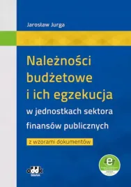 naleznosci-budzetowe-i-ich-egzekucja-w-jednostkach-sektora-finansow-publicz