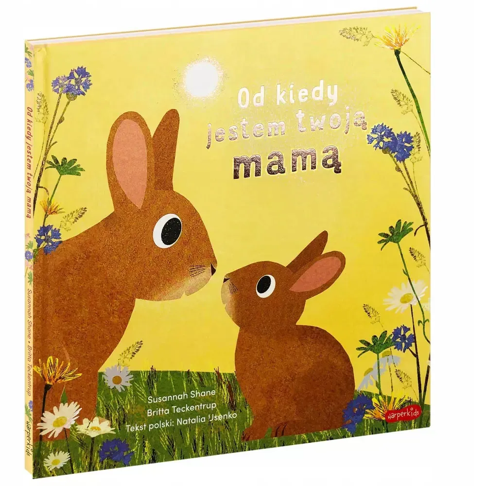 od-kiedy-jestem-twoja-mama-stan-nowy