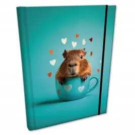 notes-b6-kratka-z-gumka-soft-touch-kapibara