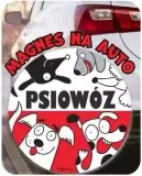 magnes-na-auto-kociowoz