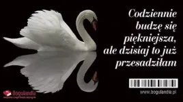 magnes-na-lodowke-codziennie-budze-sie-piekniejsza