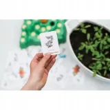 lotti-karotti-deluxe-material-karton-papier-plastik