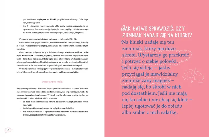 kluski-teoria-i-praktyka-wydawnictwo-marginesy