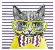 karnet-kw-kot-seledyn