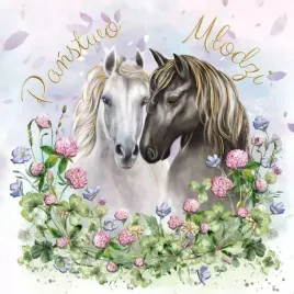 karnet-kw-slub-konie