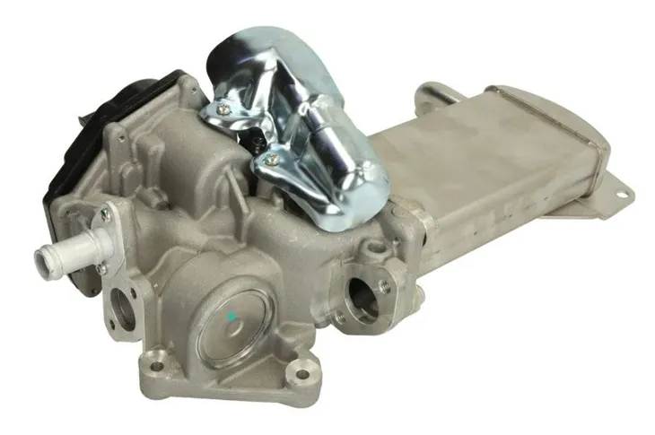 modul-egr-48201-nrf-producent-czesci-nrf