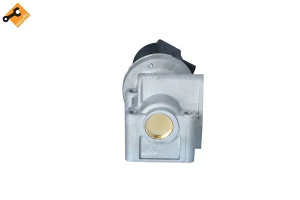zawor-egr-48326-nrf