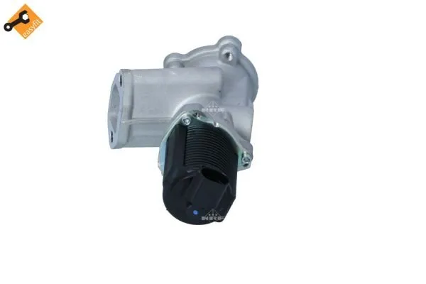 zawor-egr-48331-nrf