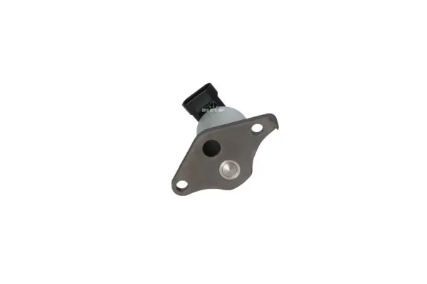 zawor-egr-48343-nrf